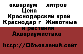 аквариум 70 литров › Цена ­ 3 900 - Краснодарский край, Краснодар г. Животные и растения » Аквариумистика   